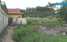 Phát hiện nam thanh niên chết trong tư thế treo cổ trên cây bàng