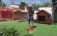 Resort cho chó độc nhất vô nhị ở miền Tây