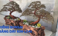 8x khởi nghiệp từ kiểng bonsai bằng dây kim loại