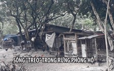 Dân khắc khoải sống “treo” trong rừng phòng hộ Biên Hòa
