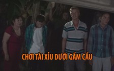 Chong đèn chơi tài xỉu dưới gầm cầu ở Bến Tre