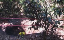 Kinh hoàng vợ vào rẫy hái tiêu phát hiện chồng chết cháy trong hố sâu