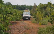 Đi tưới cà phê, hoảng hồn phát hiện thi thể đang phân hủy dưới suối