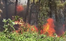 Đồng loạt cháy rừng trên 3 phường ở Thừa Thiên-Huế, lực lượng chức năng căng mình dập lửa