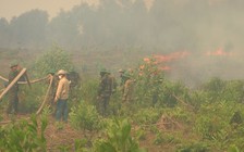 Dập tắt các vụ cháy rừng sau 3 ngày 2 đêm ở Thừa Thiên Huế