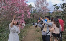 Mê mẩn rừng đào nguyên bên núi Lang Biang