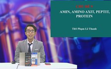 Ôn thi tốt nghiệp THPT môn hóa: Amin, Aminoaxit, Peptit, Protein