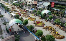 [VIDEO] Trẩy hội ở đường hoa Nguyễn Huệ Tết Bính Thân 2016