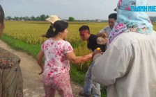 Làng quê rúng động vì côn đồ “bảo kê” địa bàn gặt lúa
