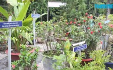 Ông chủ trại heo mê Truyện Kiều