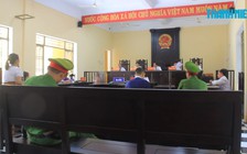 Níu kéo tình cảm bất thành, sát hại người yêu bằng dao và thuốc trừ sâu