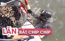 Chíp chíp “tái xuất” sông Hàn, ngư dân bất chấp nguy hiểm lặn bắt