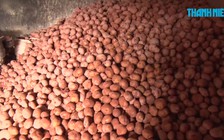 Chợ nông sản Đà Lạt chính thức "cấm cửa" khoai tây, cà rốt Trung Quốc