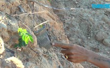 Doanh nghiệp xin khắc phục hậu quả vụ “xúc” nhầm …nghĩa địa!