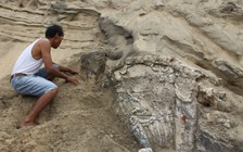 Lấy đất làm nhà, phát hiện công trình lạ dưới độ sâu 10 mét