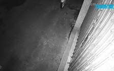 Điều tra vụ một gia đình ở Đà Nẵng bị “khủng bố”