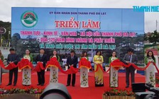 Triển lãm Đà Lạt 125 năm với những bức ảnh xưa