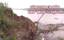 Sông Thạch Hãn vào “mùa”…sạt lở!