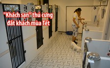 “Khách sạn” thú cưng đắt khách mùa Tết