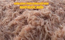 Ruốc trải đỏ bờ biển Đà Nẵng, ngư dân thu hàng triệu đồng mỗi đêm