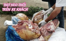 270 kg thịt heo thối, nổi nấm mốc được khò vàng trên xe khách
