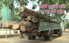 Một ngày bắt 2 vụ gỗ lậu