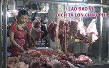 Tiểu thương ở TP.HCM cũng lao đao vì dịch tả lợn châu Phi