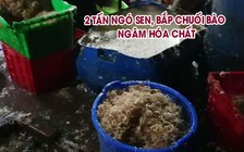 Phát hiện 3 cơ sở sản xuất 2 tấn ngó sen, bắp chuối bào ngâm hóa chất