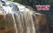 Nạo vét hồ lắng rồi đổ thải tràn ra suối Prenn gây ô nhiễm