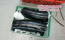 Thủ đoạn giấu ngà voi trong tôm hùm, cá khô mang chuyển từ Mỹ về Việt Nam