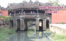 Chống đỡ khẩn cấp di tích Chùa Cầu