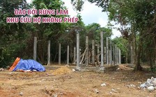 Đào bới rừng làm khu cứu hộ không phép