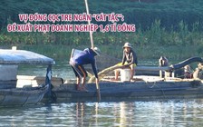 Vụ đóng cọc tre ngăn “cát tặc”: đề xuất phạt doanh nghiệp 1,6 tỉ đồng