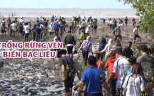 Trồng 2.000 cây mắm ở vùng bãi bồi ven biển Bạc Liêu