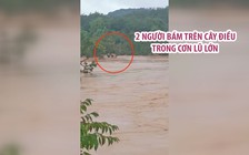 Cứu 2 người bám trụ trên cây điều trong cơn lũ lớn ở Bình Phước