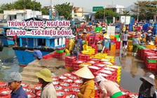 Trúng cá nục, ngư dân Mỹ Tân lãi 100 - 150 triệu đồng sau mỗi chuyến ra khơi