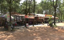 Chuyện lạ ở Quảng Ninh: chính quyền cho phép dân làm hàng quán trái phép trên đất rừng