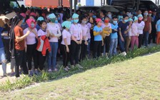 Thức ăn có giòi, 7.000 công nhân đình công