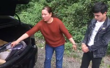 Cứu 7 con tê tê trong xe KIA Forte đang trên đường đến... quán nhậu