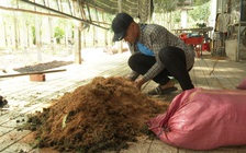 Nam sinh lớp 12 đưa giải pháp xử lý lục bình gây tắc nghẽn sông Vàm cỏ hàng chục năm