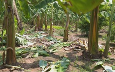 Kẻ hiếp dâm bé gái 12 tuổi ở Hà Nội là người đàn ông 44 tuổi