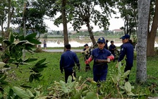 Đau lòng “núi” cây xanh gãy đổ tan hoang trên đường phố Huế sau bão