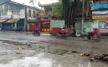 2 người phụ nữ gặp nạn vì nhánh cây da hơn 100 tuổi rơi xuống đường