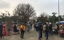 Cận cảnh “cụ” mai trăm tuổi trị giá 4 tỉ đồng ở Quảng Ngãi