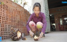 Nếu được ước: Yến Nhi - Không biết mặt cha và câu nói :"Không có tình thương nào bằng mẹ thương con"