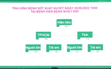 TP.HCM có số ca mắc, tử vong do sốt xuất huyết cao nhất phía Nam