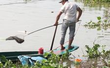 Người dân bức xúc cảnh cá vừa được phóng sinh bị chích điện: “Việc đó thật kinh khủng”