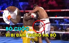 Quá đau vì bị đấm trúng hạ bộ, võ sĩ xin bỏ cuộc