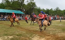 Người dân đứng ngồi, leo cây xem ngựa thồ tung vó trên đường đua làng