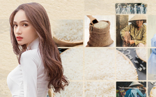 Hương Giang quyên góp 10 tấn gạo cho Đà Nẵng chống dịch Covid-19